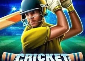 Cricket Heroes Game